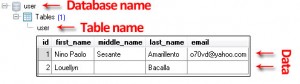 database-table-structure